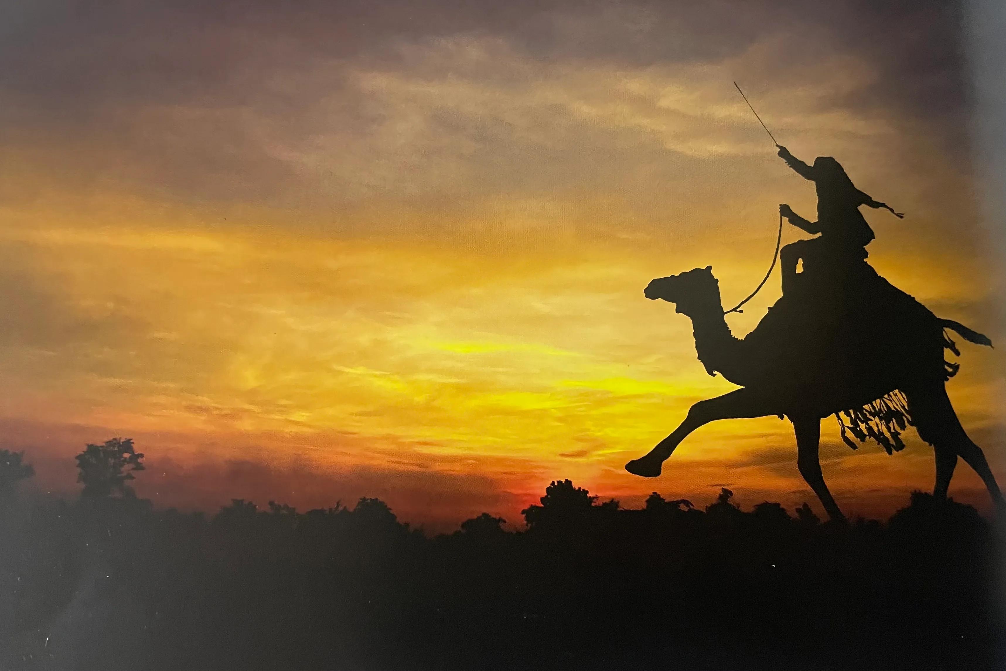 满脑子zi都是狮子女的星座男：狮子女最吸引哪个星座男（狮子女头脑简单）