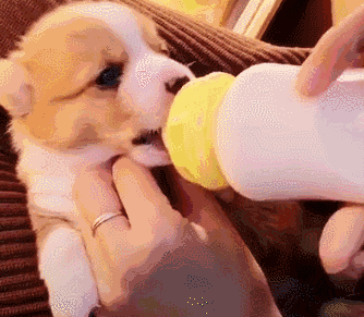 上面一个于下xia面一个皿念什么-上面一个不下面一个皿念什么（上面一个于下面一个皿念什么字）