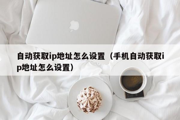 自动获取ip地址怎么设置：手机自动获取ip地址怎么设置（手机如何设置自动获取ip地址）