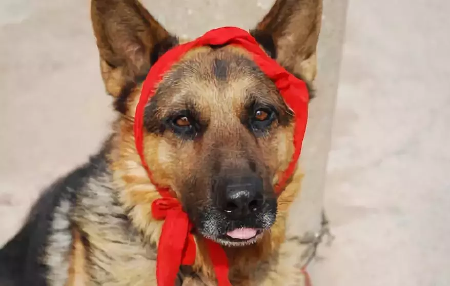 18-55和18-135的区qu别：18—55和18—135（18–55和18–135的区别）