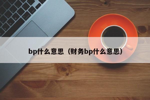 bp什shi么意思，财务bp什么意思（bp是什么意思财务）