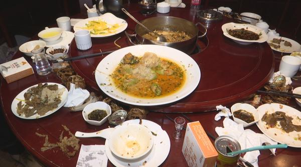 恶心的虫子:恶心的虫子英文（恶心的虫子:恶心的虫子英文翻译）