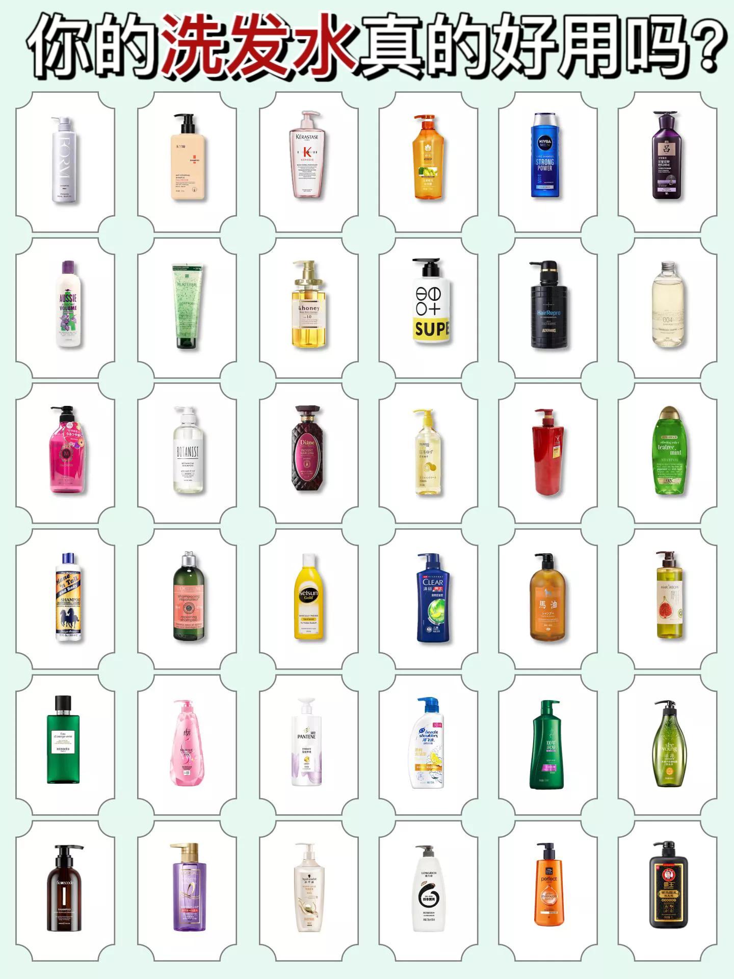 女士洗发水品牌排行榜前十名-女士洗发水品牌排行榜前十名有哪些