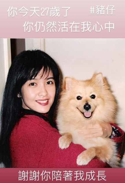 周慧敏为去世爱犬庆生：谢谢你陪着我成长（周慧敏现场演唱视频）