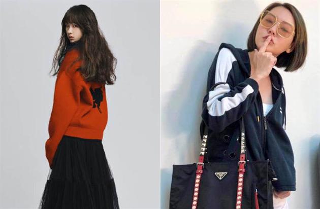 肇庆市中小学教师继续教育网滚刀式 蔡国庆的老婆邓亚萍工（蔡国庆和邓亚萍是什么关系）