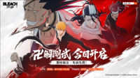 以守护之名集结《境界刀鸣》卍解测试今日正式开始（bleach境·界斩魄刀异闻录 动漫）